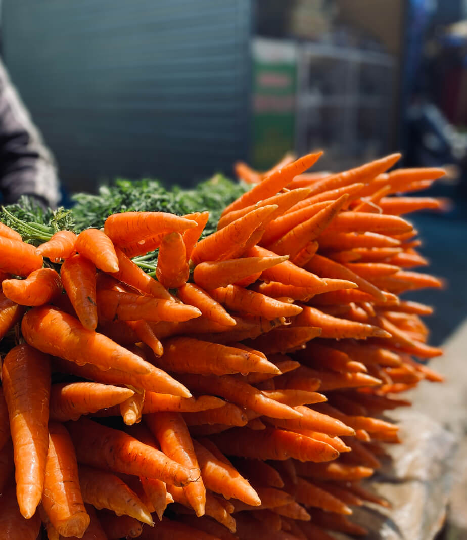 carrots in Ooty 1